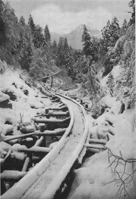 Foto "Die kunstvoll gebaute Holzriese am Hang und im Einscnitt im Schlierental OW"