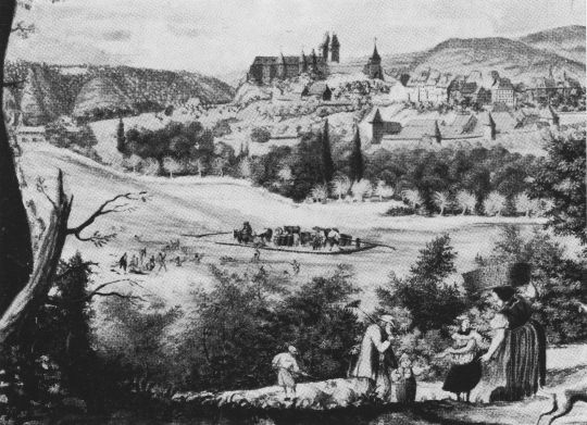 Foto "Holzfloss mit Oblast auf der Emme bei Burgdorf"