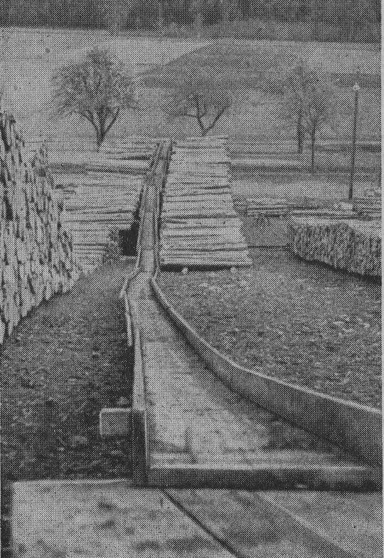 Foto "Bretterriese an einem Holzausformungsplatz"