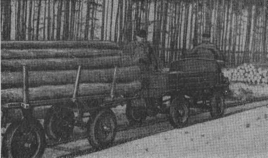 Foto "Dieselkarren beim Holztransport auf einem Audformungsplatz"