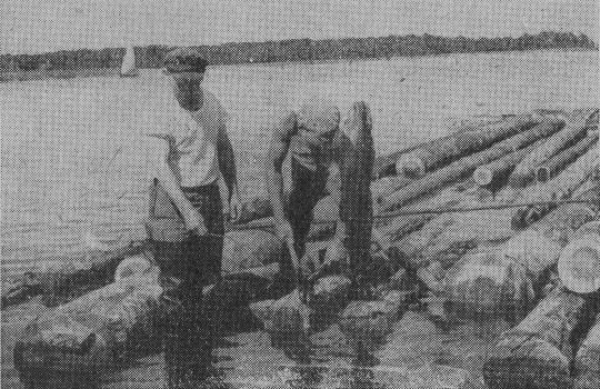 Foto "Zusammenfügen eines Tafelflosses"