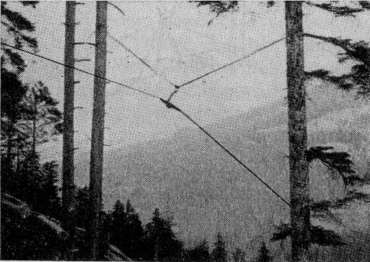 Foto "Mariabrunner Kleinseilgerät. Verankerung des Tragseilschuhs ... an starken Bäumen"