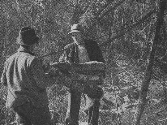 Foto "Bergstation einer Drahtriese in Kärnten"