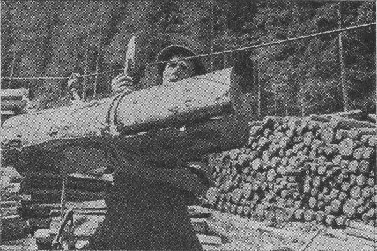 Foto "Verwendung von Holzhaken zur Lastbeförderung"