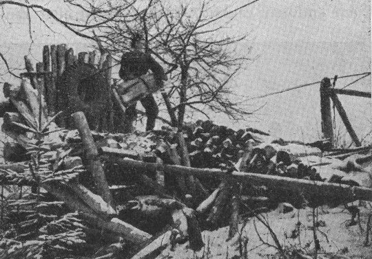 Foto "Zwischenstation einer Drahtriese. Umladung von oberer auf untere Teilstrecke"
