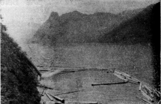 Foto "Verleer einer Trockenriese in den Traunsee. ..."