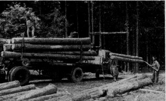 Foto "Steyr Diesel-LKW Type 380 m. einachsigem Nachläufer, hydraulischem Ladekran..."