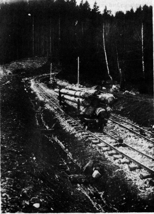 Foto "Ausweichstelle im Mittelstück der Waldbahn...."