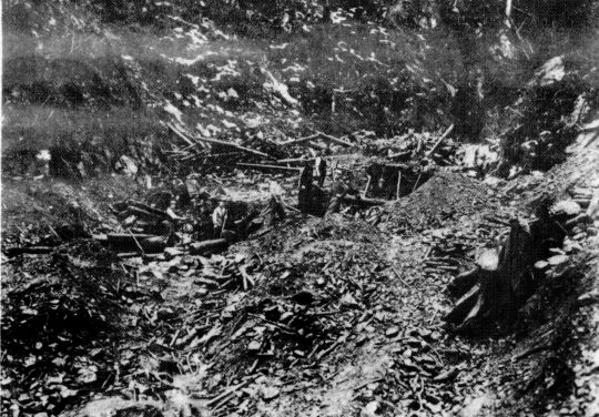 Foto "Vom Hochwasser im Sommer 1924 zerstörte Wasserriese"
