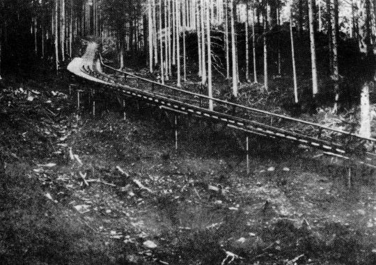 Foto "Teilstück einer 100 Meter langen, sförmigen Kurve im Angerwald."