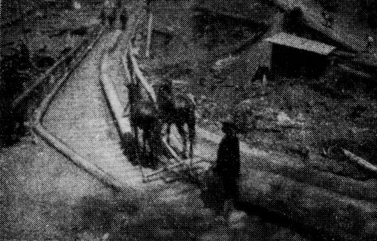 Foto "Streifbrücke"