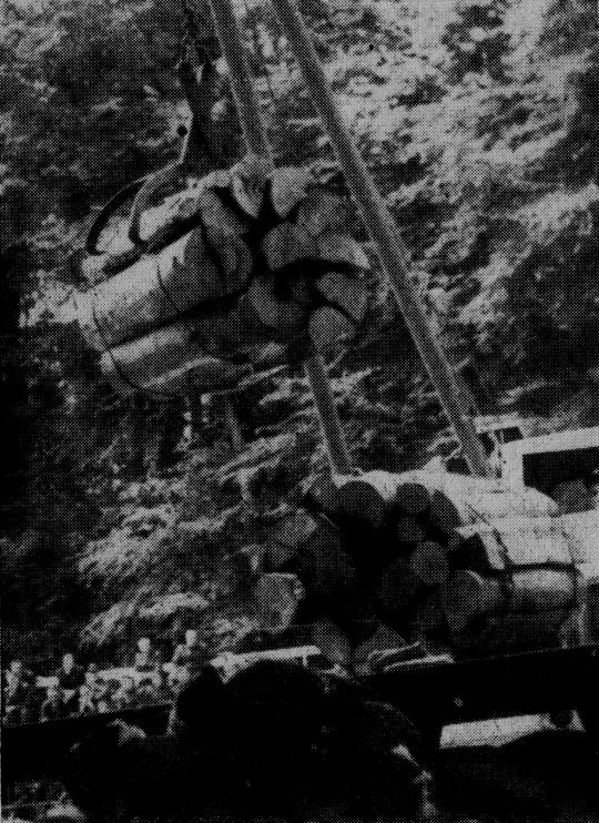 Foto "Einsatz eines Auslegerkrans bei der Verladung von Schichtholzbündeln"