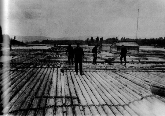 Foto "Ein Rheinfloß wird in Mainz zusammengestellt"