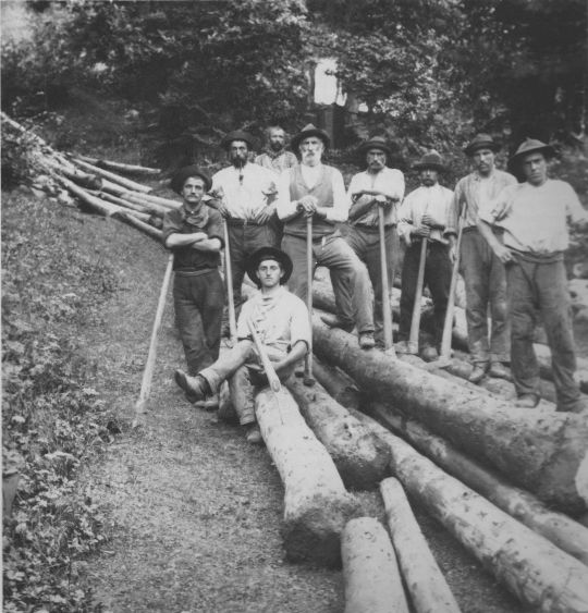 Foto Vermessen des Holzes an einer Station der Drahtseilriese