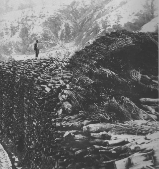 Foto Lagerung von Brennholz und Faschinen