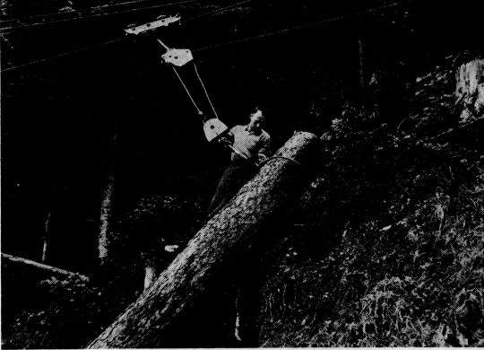 Foto "Transportstellung in Kopfhochverfahren in flachen Trassen:..."