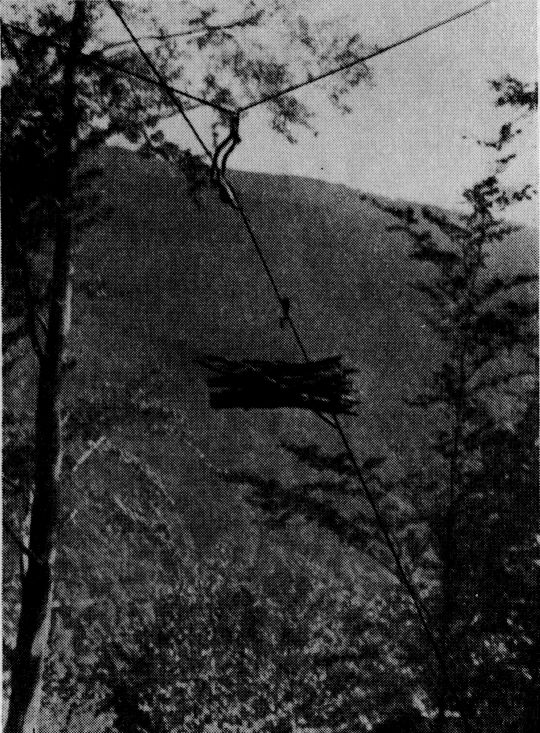 Foto "Drahtriese mit Zwischenstütze"