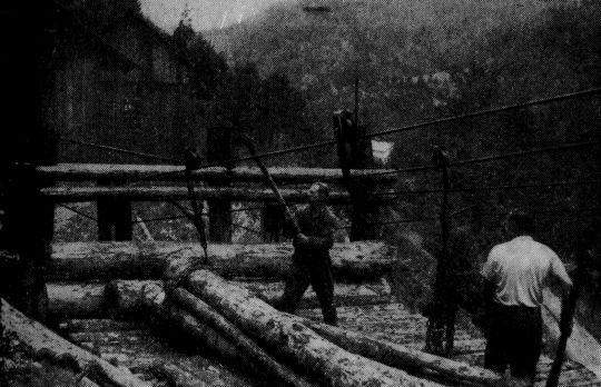Foto "Hebeklemme talseitig und Klemmringe bergseitig"