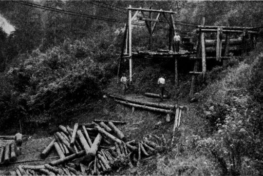Foto "Entladestelle einer Umlaufseilbahn mit gleitloser Sortierbühne"