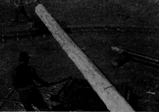 Foto "Sortiergleis mit Wendegabel"