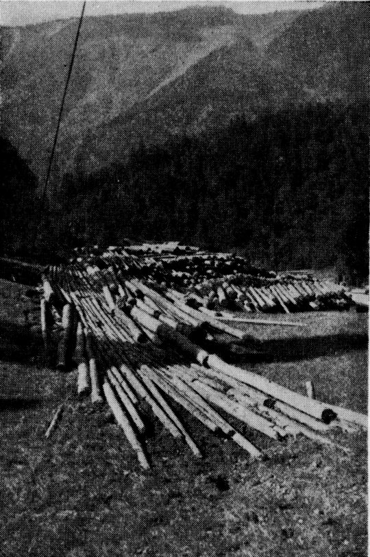 Foto "Gleitbahn aus ölgeschmierten Stangen in der Entladestation eines Seilkrans"