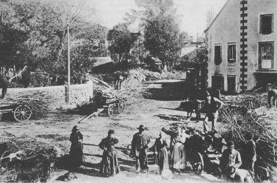 Foto Transport mit Ochsenfuhrwerk