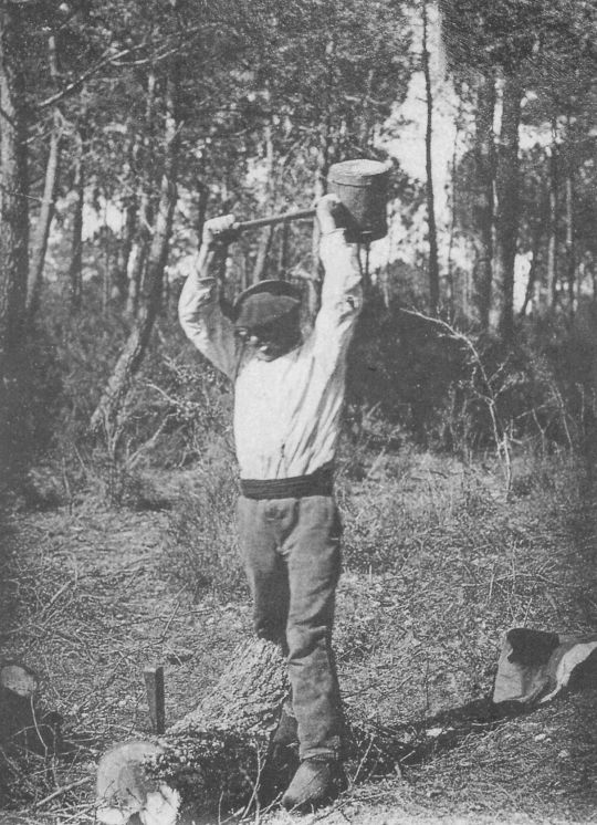 Foto Spalten mit Keil und Holzhammer