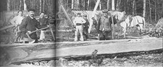 Foto Aufarbeiten des Holzes