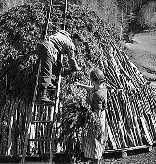 Foto "Kohlenmeiler von Peter Duss im Fontannental (Napfgebiet) 1940"