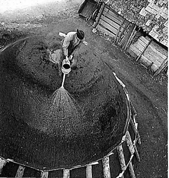 Foto "Im Napfgebiet wird das alte Gewerbe der Holzkohlenbereitung noch immer ausgeübt"