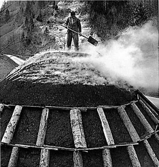 Foto "Im Napfgebiet wird das alte Gewerbe der Holzkohlenbereitung noch immer ausgeübt"