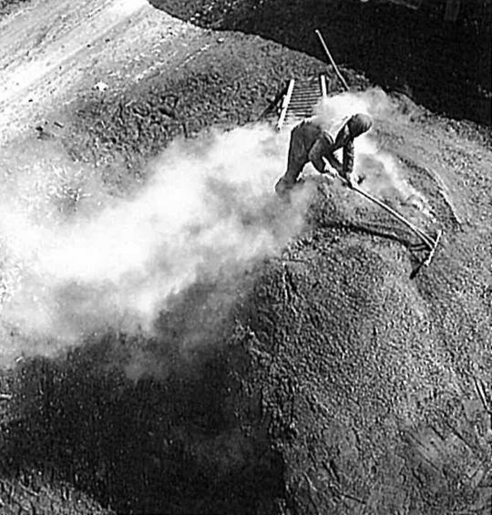 Foto "Im Napfgebiet wird das alte Gewerbe der Holzkohlenbereitung noch immer ausgeübt"