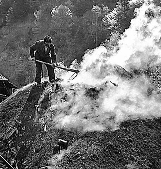 Foto "Im Napfgebiet wird das alte Gewerbe der Holzkohlenbereitung noch immer ausgeübt"