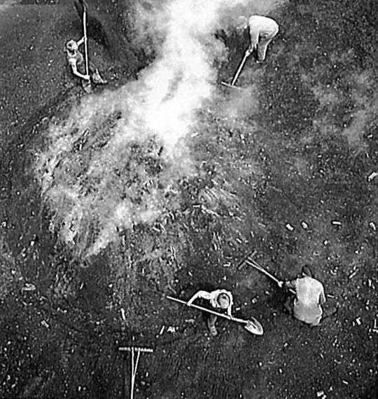 Foto "Im Napfgebiet wird das alte Gewerbe der Holzkohlenbereitung noch immer ausgeübt"