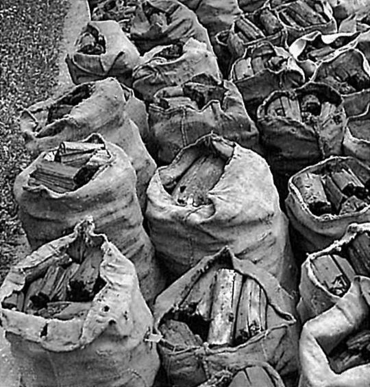 Foto Gefüllte Kohlensecke