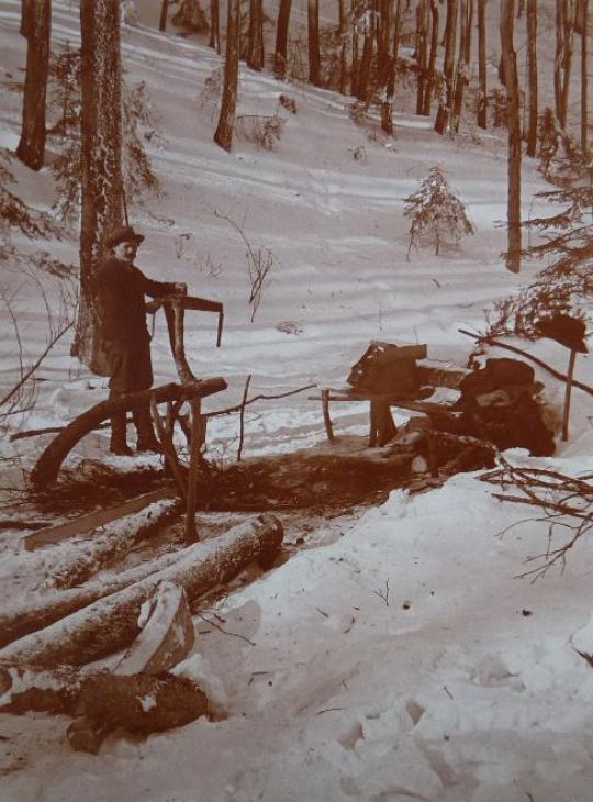 Foto "Unterhalt der Sägen im Wald"