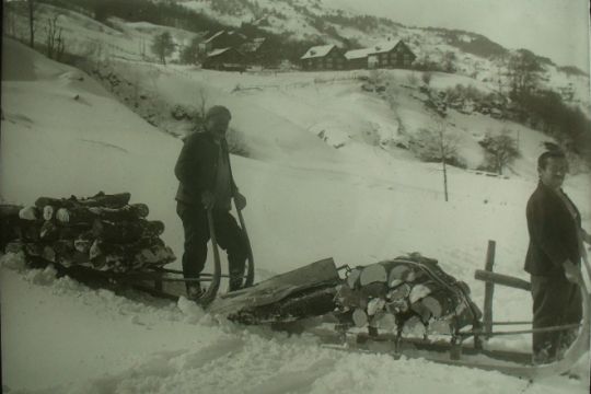 Foto "Mit beladenem Holzschlitten zu Tal"