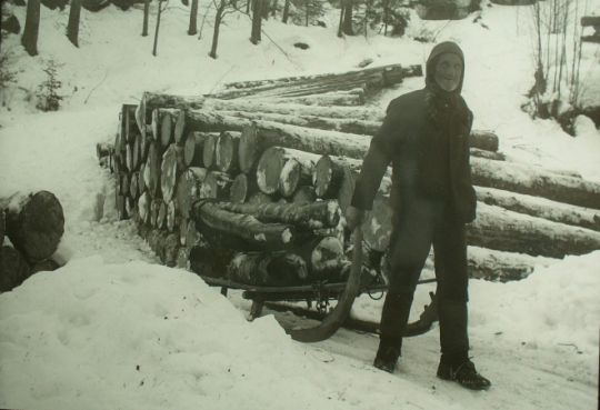 Foto "Holztransport"