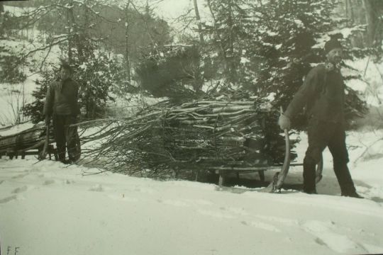 Foto "Holztransport"