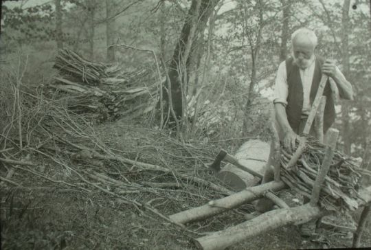 Foto "Waldarbeiter beim Holzrüsten"