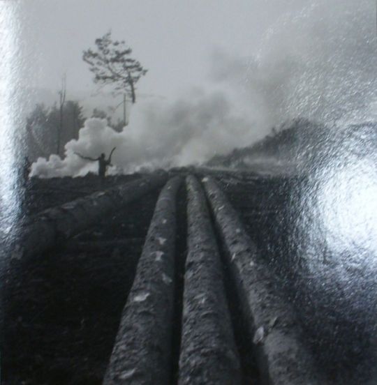 Foto Waldrodung Embrach