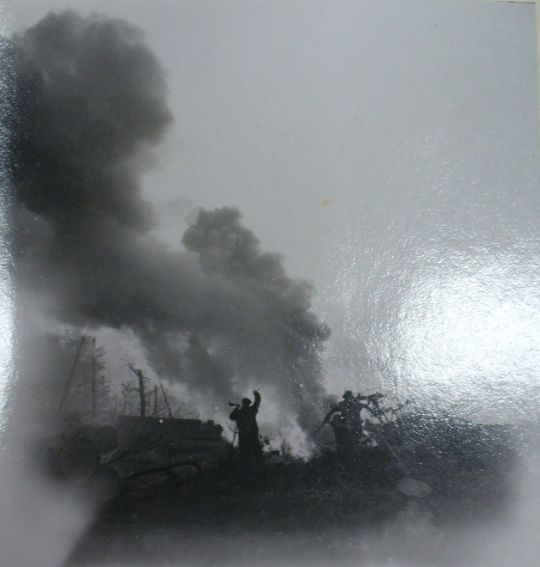 Foto Waldrodung Embrach