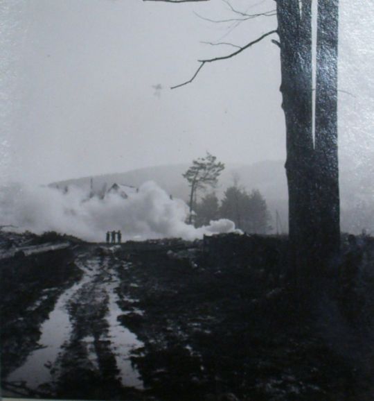 Foto Waldrodung Embrach