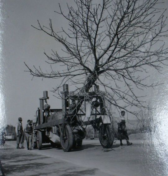 Foto "Landi Zürich"