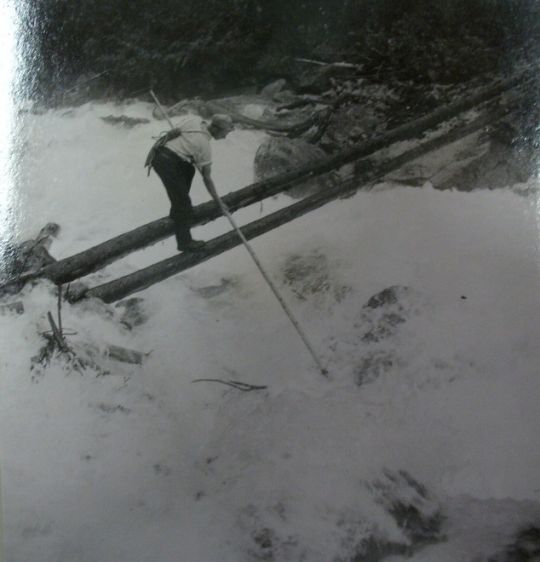 Foto "Flösser am Fellibach"