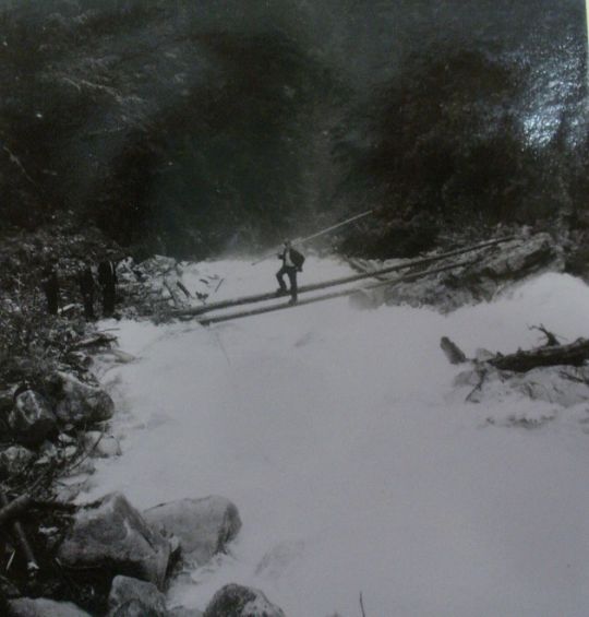 Foto "Flösser am Fellibach"
