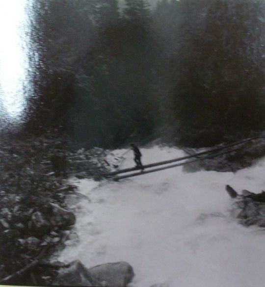 Foto "Flösser am Fellibach"