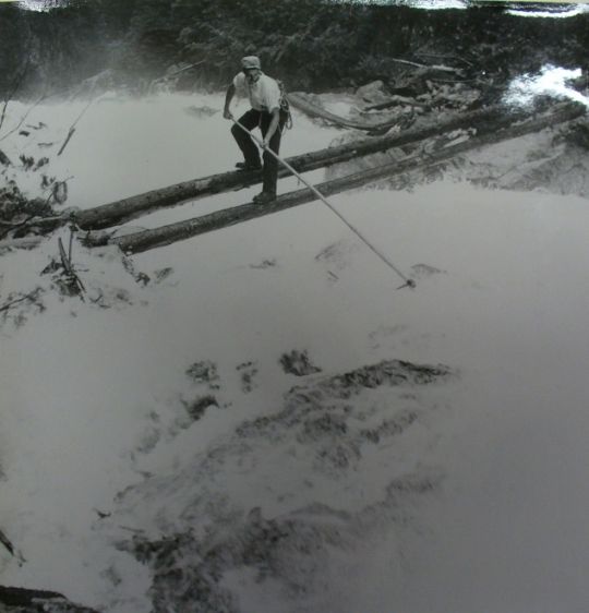 Foto "Flösser am Fellibach"