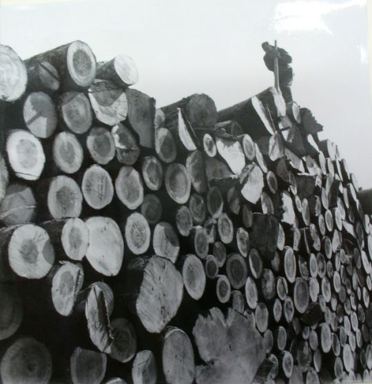 Foto Auf dem Lagerplatz der Sägerei