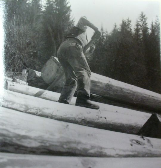 Foto Auf dem Lagerplatz der Sägerei